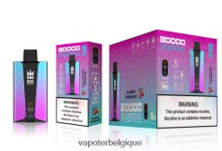 Bang Box Écran intelligent de 30 000 bouffées TTX60480 - Grossiste Vape Jetable pomgérante aux myrtilles