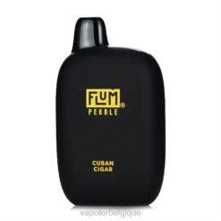 cigare cubain FLUM PEBBLES 6000 bouffées F8H428 Vape En Gros
