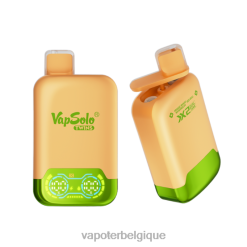 Cigarette Electronique Grossiste 22F64124 Vapsolo TWINS vape jetable pastèque mangue orange & taureau rouge