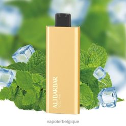 Cigarette Electronique Grossiste 22F6454 Alibarbar Pandora 7000 vapes jetables menthe fraîche