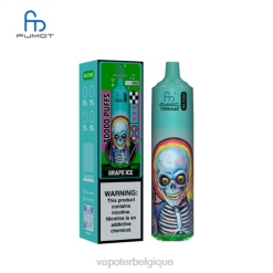 Cigarette Electronique Grossiste 4P66013 glace aux raisins Fumot Tornado 30 000 musiques