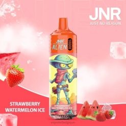 Cigarette Electronique Grossiste J2D8665 | JNR ALIEN glace à la fraise et à la pastèque