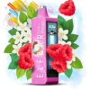 Elf Bar Planet 25000 - 6PLV19 jasmin framboise Vape En Gros