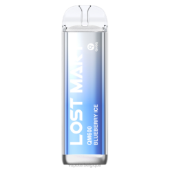 Grossiste Vape En Ligne J2D8384 | LOST MARY QM600 glace aux myrtilles