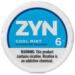 Grossiste Vape Jetable J2D816 | ZYN menthe fraîche sachet de nicotine 6mg