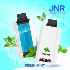 JNR BATMAN 11000 VTX04 menthe fraîche Grossiste Vape En Ligne