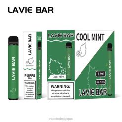 LAVIE BAR 800 bouffées 6J6R311 | Cigarette Electronique Grossiste menthe fraîche