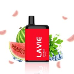 LAVIE BOX 6000 bouffées 6J6R199 | Vape En Gros glace luxuriante