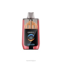 LAVIE CAMEO 30000 bouffées 6J6R14 | Cigarette Electronique Grossiste glace à la pastèque