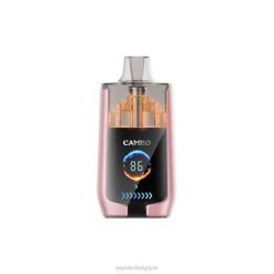 LAVIE CAMEO 30000 bouffées 6J6R19 | Vape En Gros fruits tropicaux