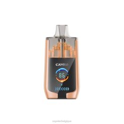 LAVIE CAMEO 30000 bouffées 6J6R22 | Grossiste Vape En Ligne cerise