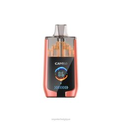 LAVIE CAMEO 30000 bouffées 6J6R24 | Grossiste Vape Jetable pastèque fraise