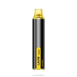 LAVIE Torch 6000 bouffées 6J6R132 | Grossiste Vape Jetable mangue