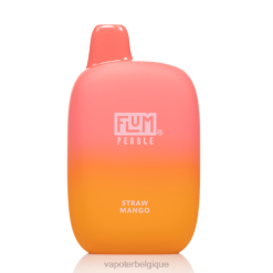mangue paille FLUM PEBBLES 6000 bouffées F8H443 Cigarette Electronique Jetable