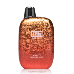 pamplemousse puissant FLUM PEBBLES 6000 bouffées F8H436 Cigarette Electronique Bruxelles