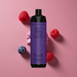 RandM Fumot Shisha 10000 Puffs E-liquide Prérempli 18ml Bleuet Framboise Acidulée Vape Jetable