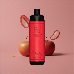 RandM Fumot Shisha 10000 Puffs Vape Jetable Deux Pommes avec Indicateur LED et Batterie 850 mAh