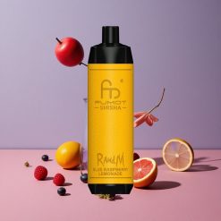 RandM Fumot Shisha 10000 Puffs Vape Jetable Framboise Bleue Citronnade avec 18ml E-Liquide Prérempli et 850 mAh Batterie