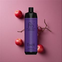 RandM Fumot Shisha 10000 Puffs Vape Jetable Glace Raisin avec Indicateur LED et Batterie 850 mAh