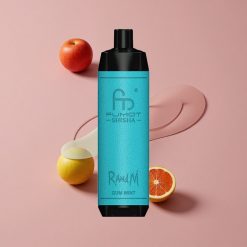 RandM Fumot Shisha 10000 Puffs Vape Jetable Gomme Menthe avec Indicateur LED et Batterie 850 mAh