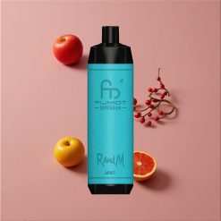 RandM Fumot Shisha 10000 Puffs Vape Jetable Menthe avec 18ml E-Liquide Prérempli et Batterie 850 mAh