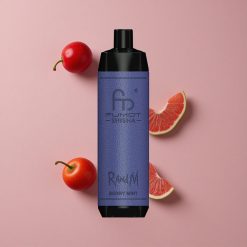 RandM Fumot Shisha 10000 Puffs Vape Jetable Menthe Baies avec 18ml E-liquide Prérempli et 0.5% Nicotine