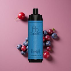RandM Fumot Shisha 10000 Puffs Vape Jetable Myrtille Raisin avec LED et 18ml Prérempli