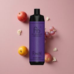 RandM Fumot Shisha 10000 Puffs Vape Jetable Raisin Menthe avec Indicateur LED et Batterie 850 mAh