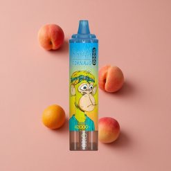 RandM Fumot Tornado 15000 Puffs Pêche Mangue 25ml Ecran LCD