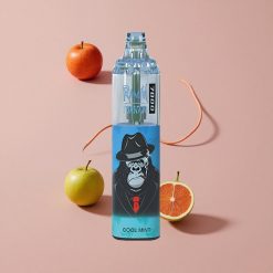 RandM Fumot Tornado 7000 Puffs Menthe Fraîche Vape Jetable avec 14 ML E-liquide et Air-Adjustable