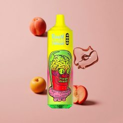 RandM Fumot Tornado 9000 Puffs Pêche Estivale Glacée avec 18 mL de E-liquide et Écran RGB Élégant
