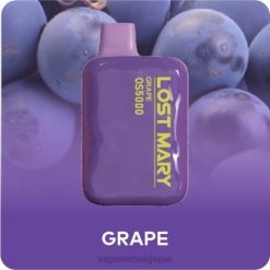 Vape En Gros J2D8491 | LOST MARY OS5000 raisin