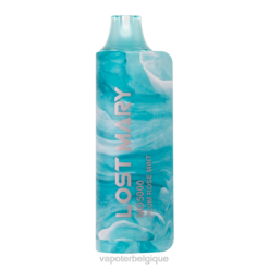 Vape En Gros J2D8531 | LOST MARY MO5000 prune rose menthe