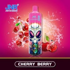 Vape En Gros J2D8641 | JNR ALIEN baie de cerise