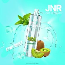Vape En Gros J2D8681 | JNR SHISHA menthe kiwi