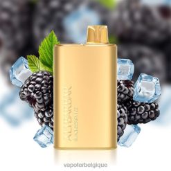 Vape Grossiste 22F6410 Alibarbar Rich 8000 vapes jetables glace aux mûres