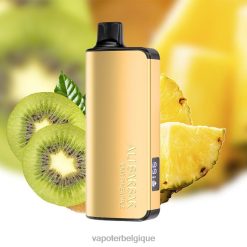 Vape Grossiste 22F6438 Alibarbar Ingot 20000 vapes jetables ananas kiwi