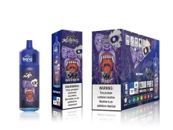 Vape Grossiste J2D8123 | Bang Box glace de dragon noir 12000 bouffées