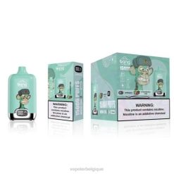 Vape Grossiste J2D8133 | Bang Box fraise-kiwi 15000