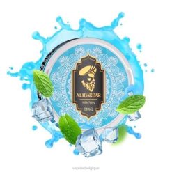 Vape Grossiste J2D863 | ALIBARBAR menthol pochette de nicotine