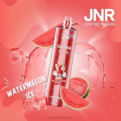 Vape Grossiste J2D8693 | JNR SHISHA glace à la pastèque
