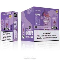 Vapoter Belgique J2D8142 | Bang Box Gelée de raisin 15000