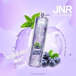 Vapoter Belgique J2D8672 | JNR SHISHA menthe myrtille