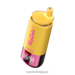 VapSolo Triple 30 000 bouffées 6VP8N8 fruits tropicaux & fraise pastèque & citron pêche Cigarette Electronique Belgique