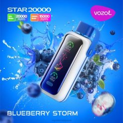 VOZOL STAR 20000 02865 tempête de bleuets Cigarette Electronique Grossiste